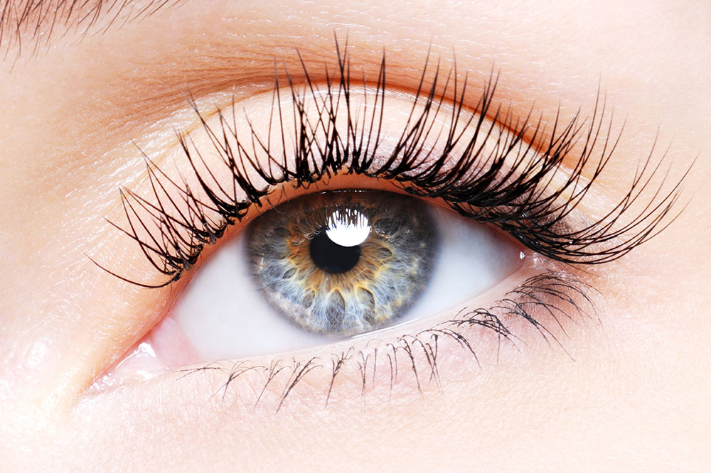 Intercoiffure Eder | Wimpern Friseur Eder - WImpern 2